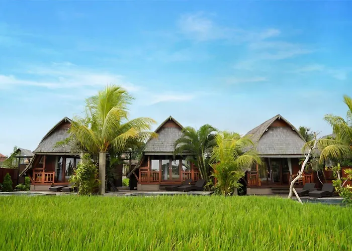 Hotel Pb Gandalangu Bali Ubud